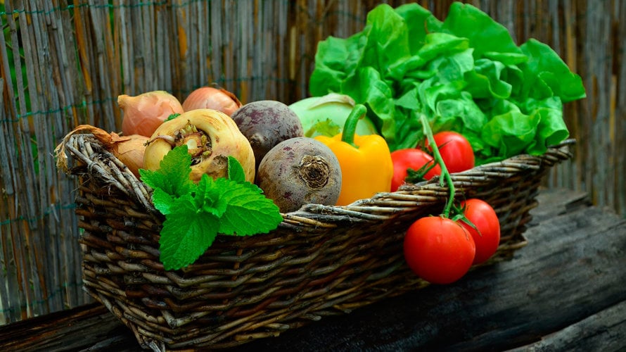 Una cesta con verduras ecológicas. ARCHIVO