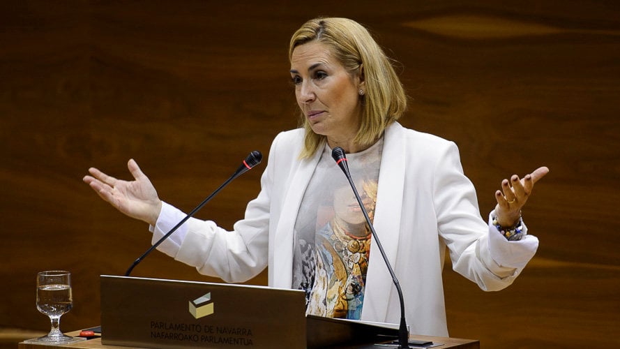Ana Beltrán del PPN interviene en el Parlamento de Navarra. PABLO LASAOSA