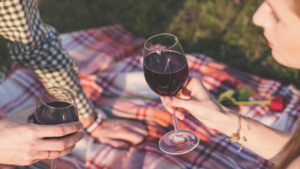 Una pareja pasa un día de picnic mientras brinda con copas de vino durante una charla ARCHIVO