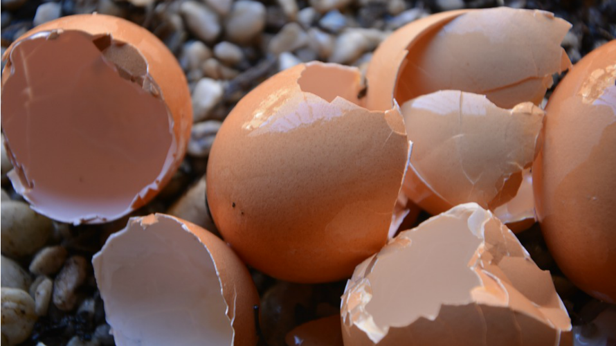Una imagen de huevos rotos. ARCHIVO