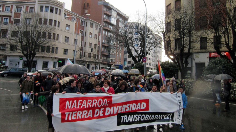 Vista de la manifestación contra la transfobia en Pamplona.