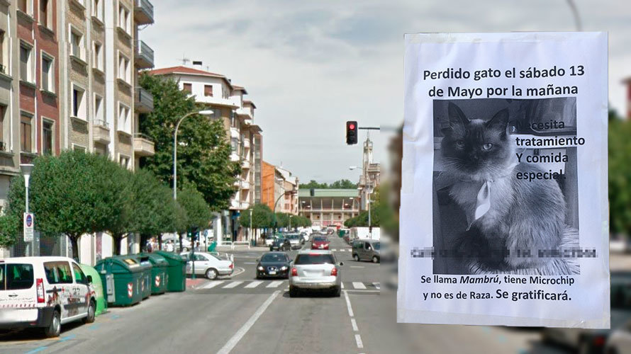 Uno de los carteles colocados en la calle Olite de Pamplona.