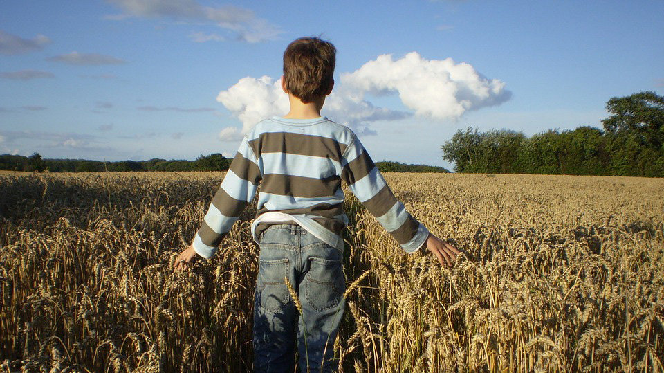 Un niño de espaldas en un campo de trigo.