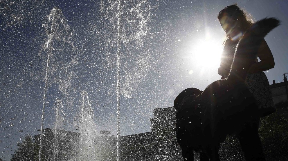 Un perro bebe agua de una fuente de un parque de Pamplona en una jornada donde el calor ha sido el protagonista en toda Navarra. EFE/Jesús Diges