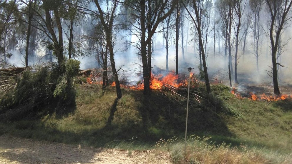 Incendio declarado en un pinar de Falces BOMBEROS DE NAVARRA