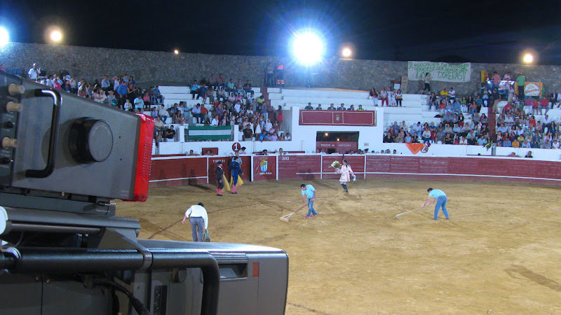Imagen de varios empleados trabajando en la plaza de toros de Santa Olalla del Cala Foto OLALLA REAL
