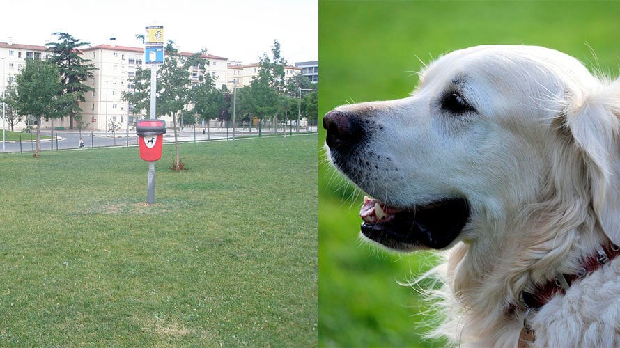 A la izquierda, el nuevo esparcimiento canino de Pamplona