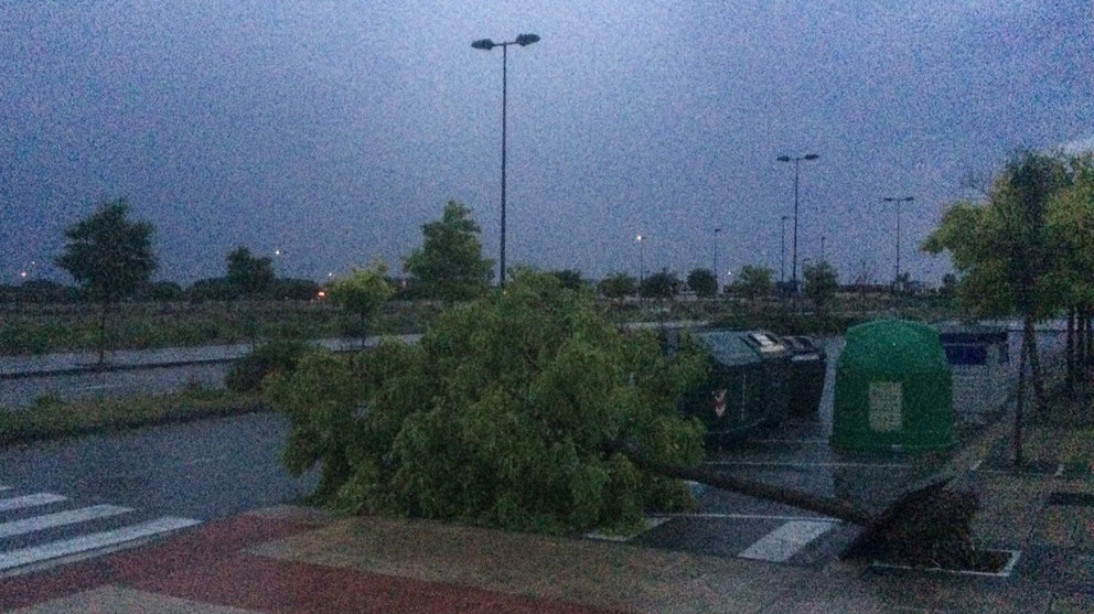 Árboles derribados por el viento en Tafalla debido a la fuerte tormenta de este 8 de junio. NAVARRA (1)