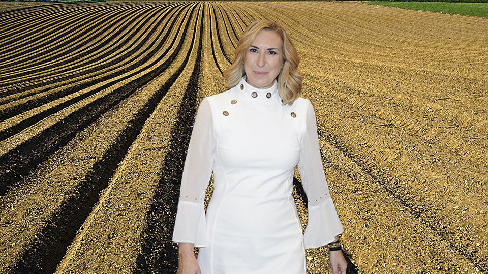 Fotomontaje de la presidenta del PPN Ana Beltrán junto a una explotación agraria en un campo navarro