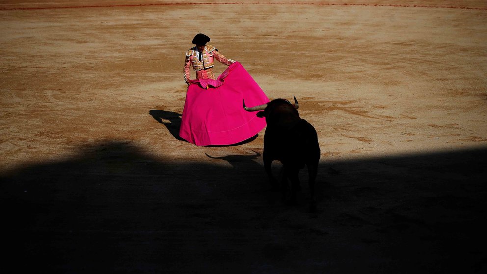 Spanish bullfighter Ivan Fandino performs a pass to a bull during a bullfight at the San Fermin festival in Pamplona, northern Spain, July 10, 2016. REUTERS/Susana VeraCODE: X01622