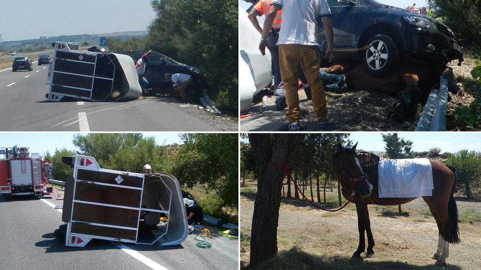 Salvan a un caballo tras quedar aplastado en un accidente vial en Tudela POLICÍA FORAL BOMBEROS DE NAVARRA