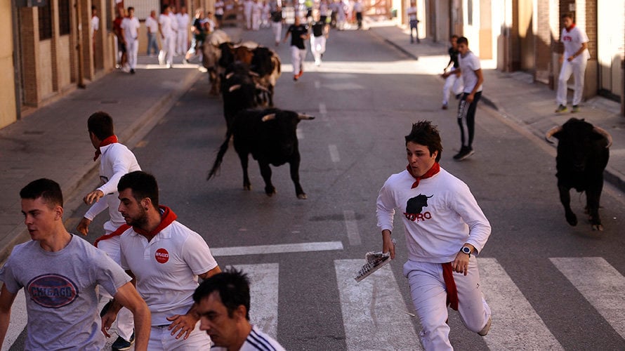 Tercer encierro de las fiestas de San Adrían con reses de la ganadería de Jose Antonio Baigorri El Pincha. MIGUEL OSÉS (11)
