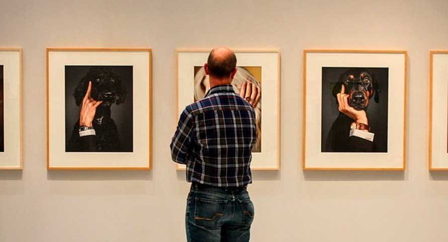 Un hombre de espaldas contempla una exposición. ARCHIVO