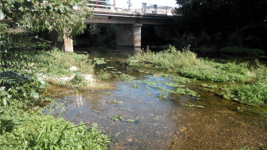 El río Ega a su paso por el puente de Murieta baja con un caudal muy escaso este verano.