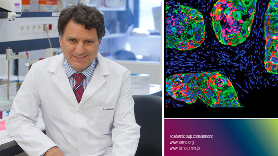 El doctor Ignacio Melero, del CIMA, y la portada de la revista Annals of Oncology sobre su investigación del cáncer de pulmón y melanomas IMÁGENES CEDIDAS
