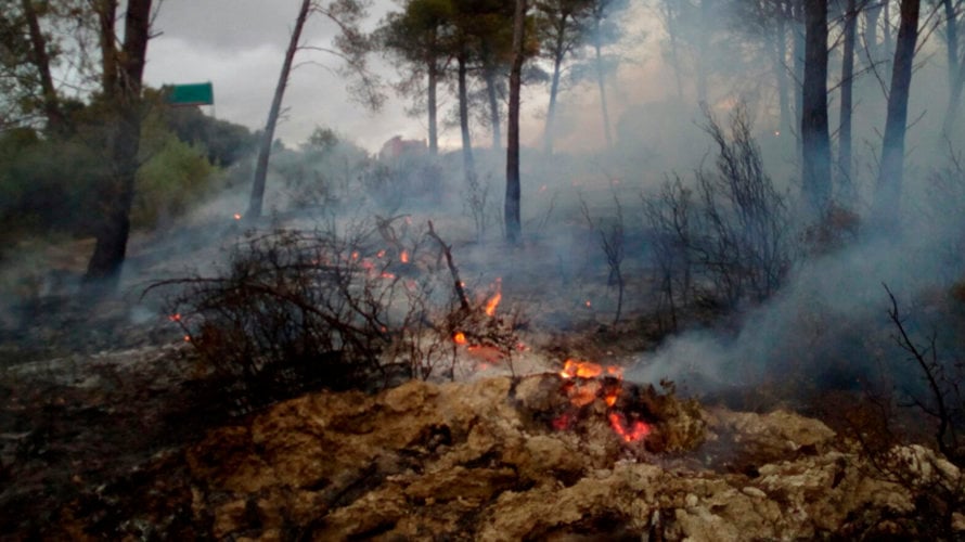 Una imagen del incendio desatado en Sesma