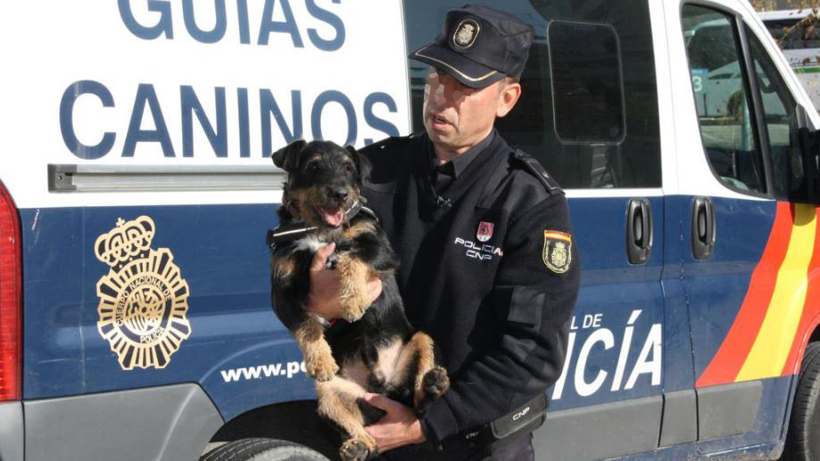 Un Policía Nacional sostiene a un perro, un agente canino del cuerpo policial ARCHIVO