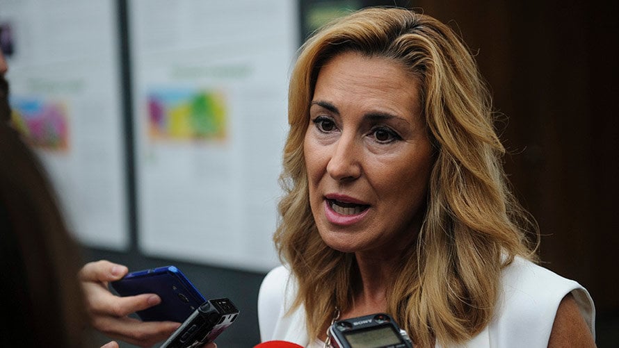 Ana Beltrán ante los medios de comunicación en el Parlamento de Navarra.  MIGUEL OSÉS (1)