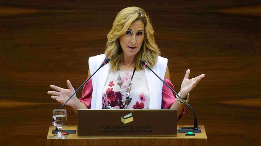 Ana Beltrán ante los medios de comunicación en el Parlamento de Navarra.  MIGUEL OSÉS (2)