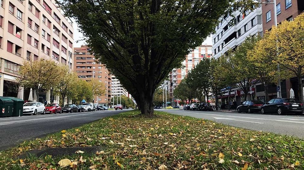 Avenida de Pío XII de Pamplona desde su tramo más próximo a la calle Iturrama. ARCHIVO. (3)