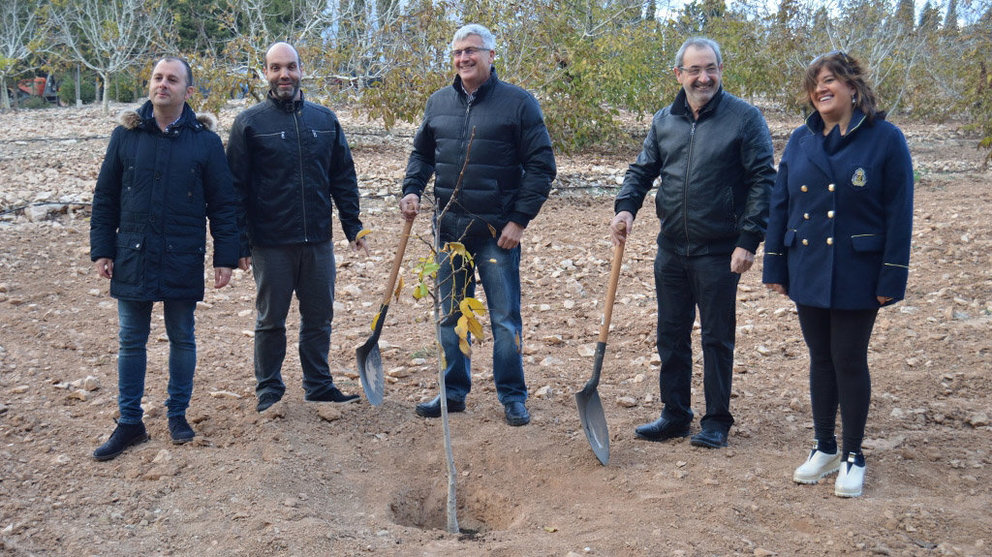 El Ayuntamiento de Fustiñana alcanza el número 100 de nogales plantados en la localidad CEDIDA