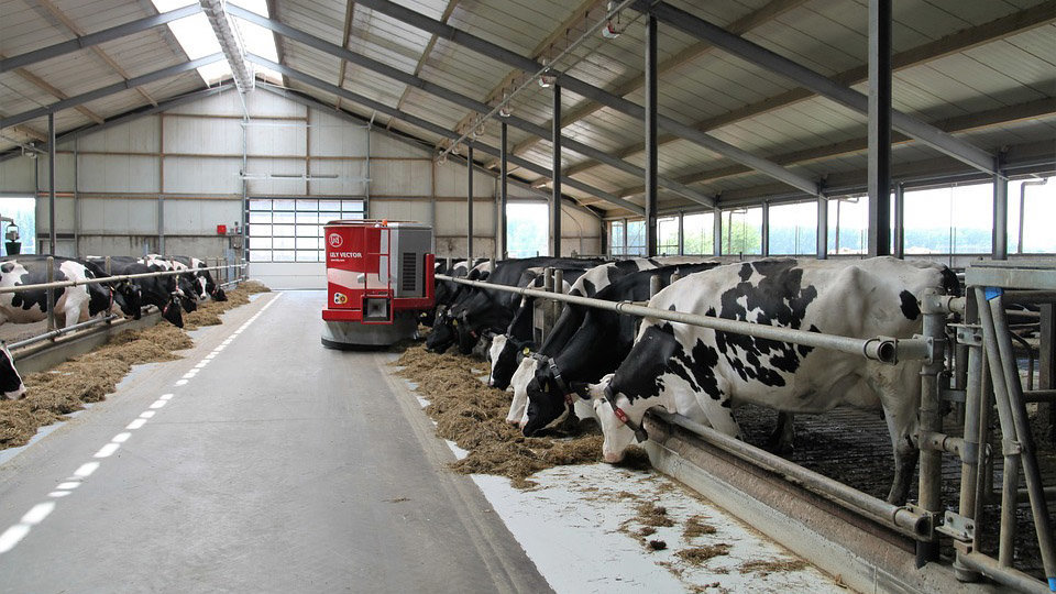 Imagen de una granja con varias vacas lecheras para su ordeño ARCHIVO