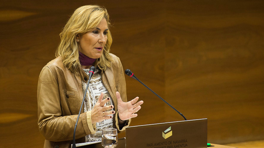 Ana Beltrán habla en el Parlamento de Navarra. PABLO LASAOSA