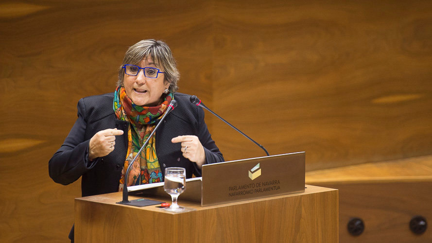Marisa de SImón interviene en el Parlamento de Navarra. PABLO LASAOSA