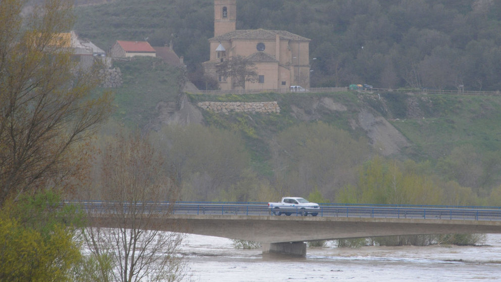 El río Aragón a su paso por Caparroso AMAYA LUQUI (9)