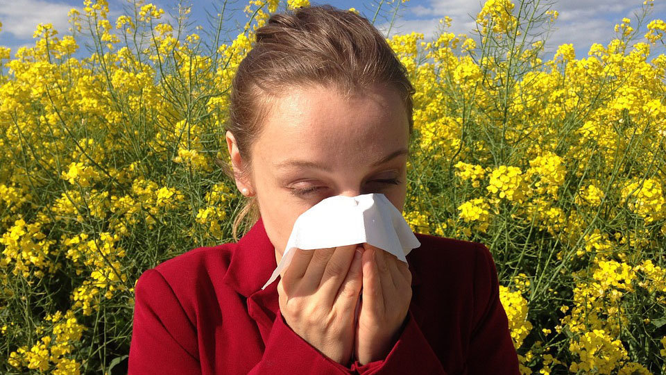 Una mujer estornuda ante un brote de alergia por el polen ARCHIVO