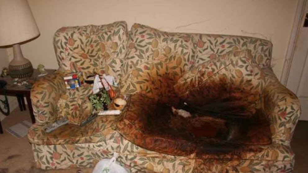 El sofá en el que murió abandonada Cecily Kurtz TWITTER
