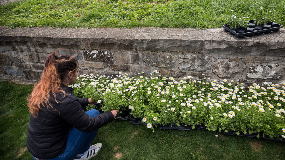 Tras la inauguración del proyecto Naturart, los alumnos participantes han sido obsequiados con diferentes plantas ofrecidas por el servicio de jardinería del Ayuntamiento (45). IÑIGO ALZUGARAY