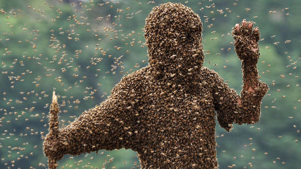 Imagen de archivo de un hombre cubierto de abejas YOUTUBE