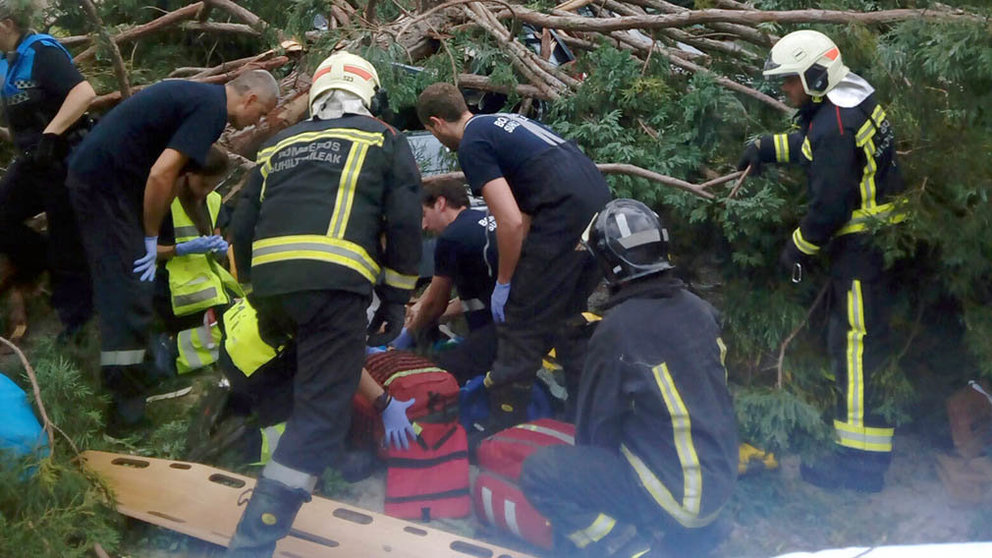 Seis personas han resultado heridas en Pamplona al caer un árbol en el campus de la Universidad de Navarra. BOMBEROS DE NAVARRA (2)