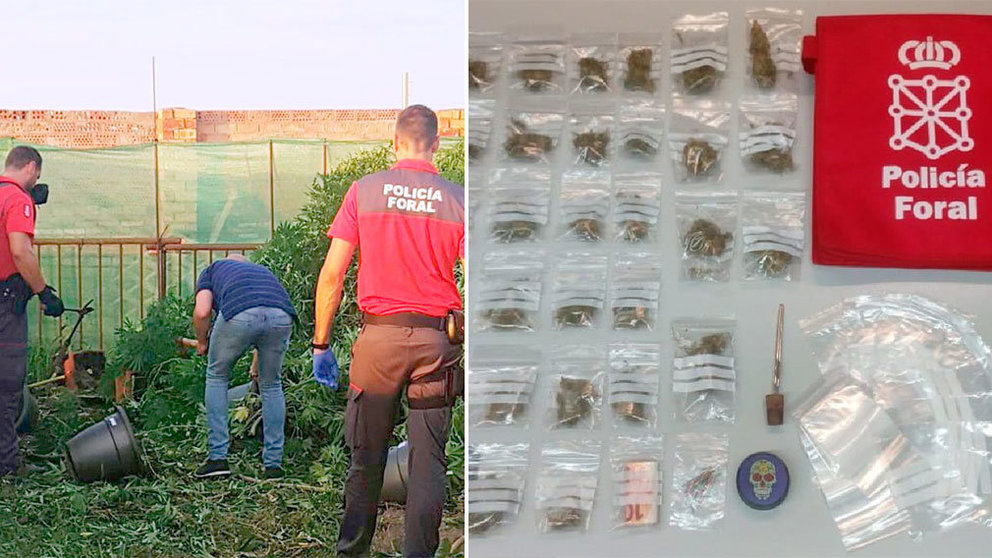 A la izquierda, la plantación de marihuana encontrada por la Policía Foral y, a la derecha, las bolsitas de droga que se incautaron a un joven en el coche. POLICÍA FORAL