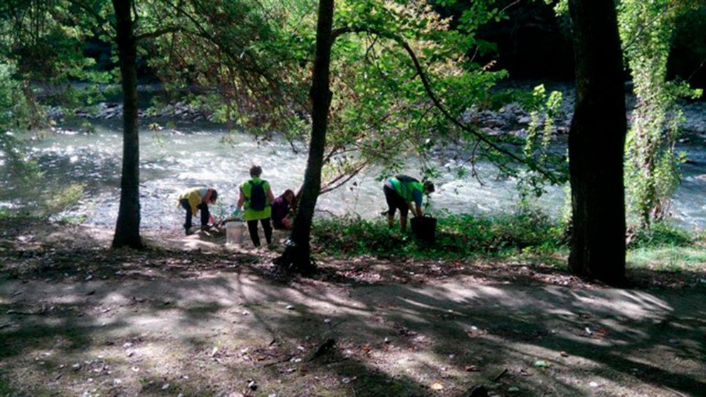 Varios voluntarios limpian las orillas del río en Pamplona AYUNTAMIENTO DE PAMPLONA EUROPA PRESS