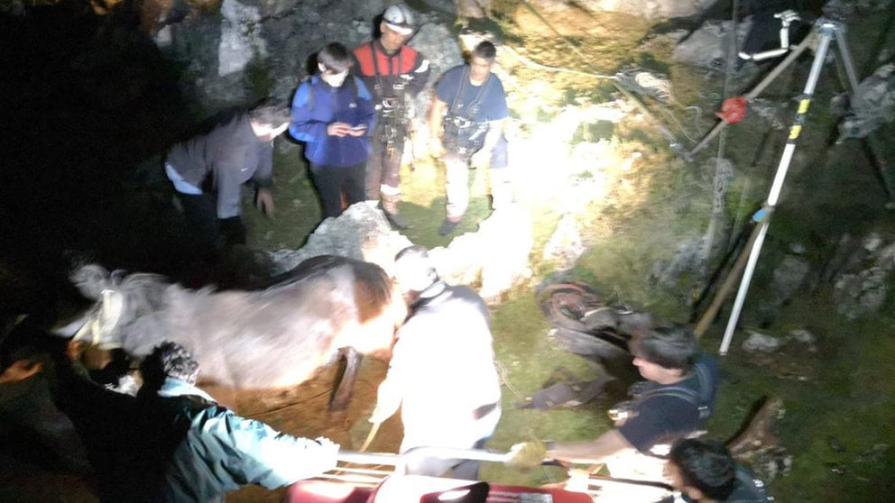 Rescate de una yegua en Aralar BOMBEROS DE NAVARRA