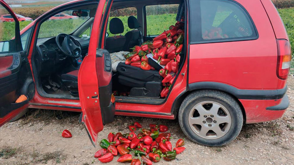 El coche en el que las dos mujeres denunciadas iban a llevarse 400 kilos de pimientos de una finca de Viana. POLICÍA FORAL