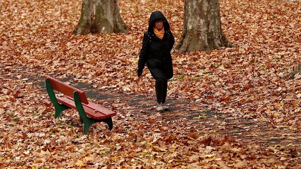 Una mujer se hace una foto con un móvil en un parque de Pamplona completamente cubierto de hojas desprendidas de los árboles en un día plenamente otoñal y marcado por el tiempo frío. EFE/ Jesus Diges