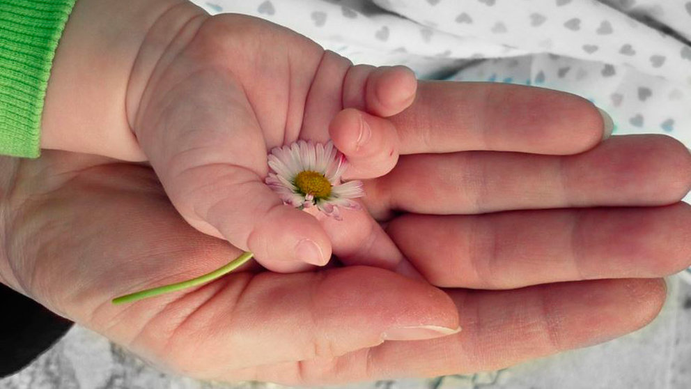 Una imagen de la mano de una madre junto a la de su bebé y una flor. ARCHIVO