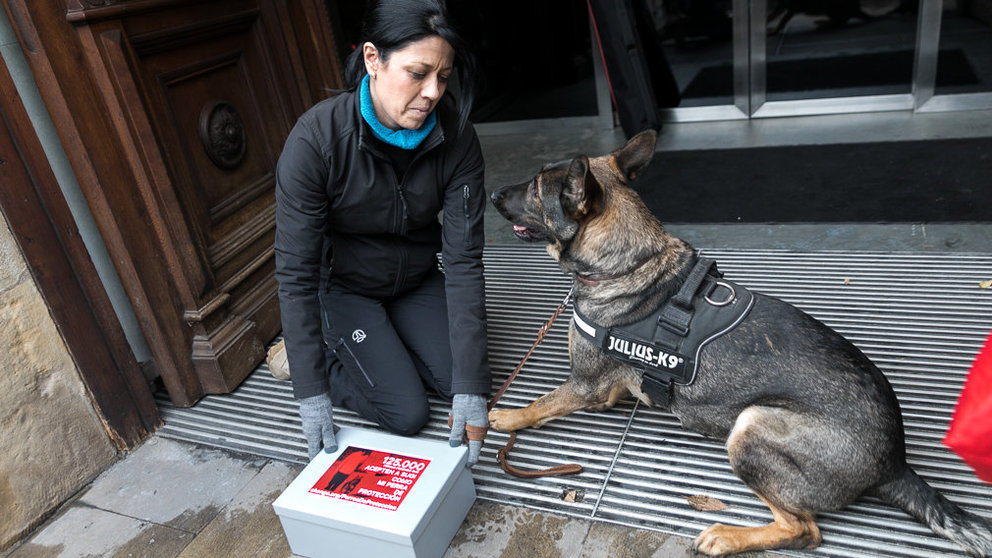 Una mujer víctima de violencia machista entrega 125.000 firmas en el Parlamento de Navarra para que le permitan regular la situación de Sugi, su perra de protección (05). IÑIGO ALZUGARAY