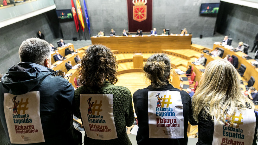 Los representantes de la coordinadora de ONGD de Navarra han seguido el pleno del Parlamento de Navarra en el que se han aprobado unos presupuestos que critican por dejar de lado la cooperación internacional. IÑIGO ALZUGARAY