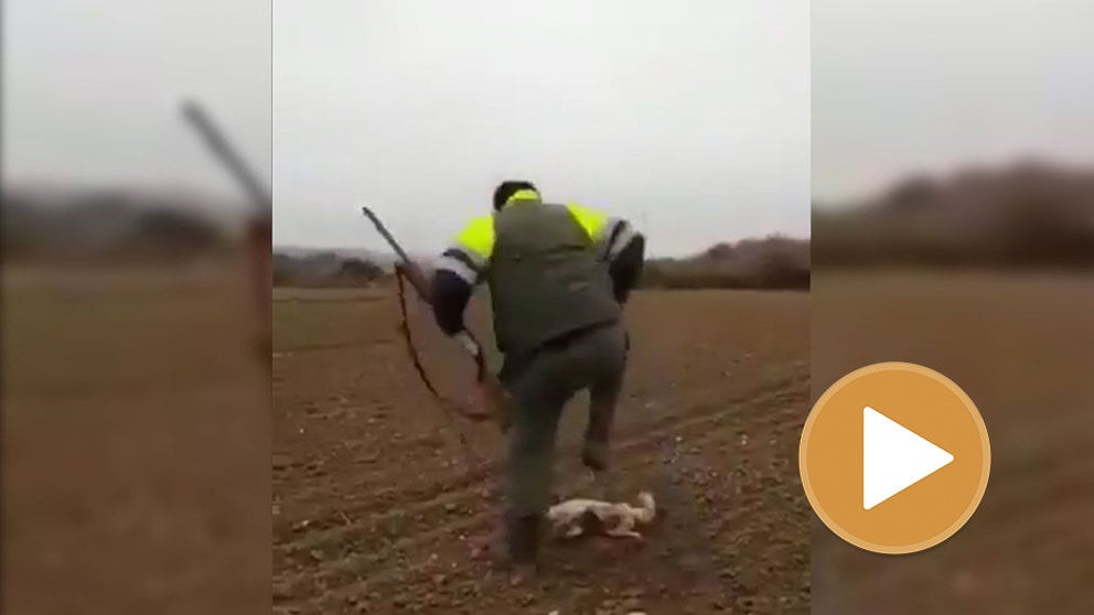 Imagen del cazador torturando a un zorro herido de muerte Foto TWITTER PACMA 1