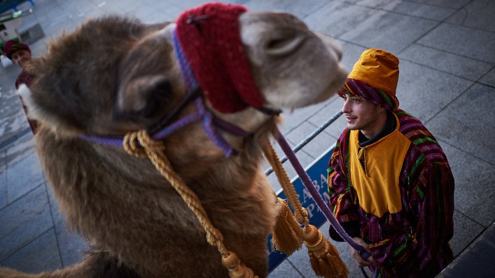 Los camellos de los Reyes Magos se pasean por la plaza del castillo. MIGUEL OSÉS 1