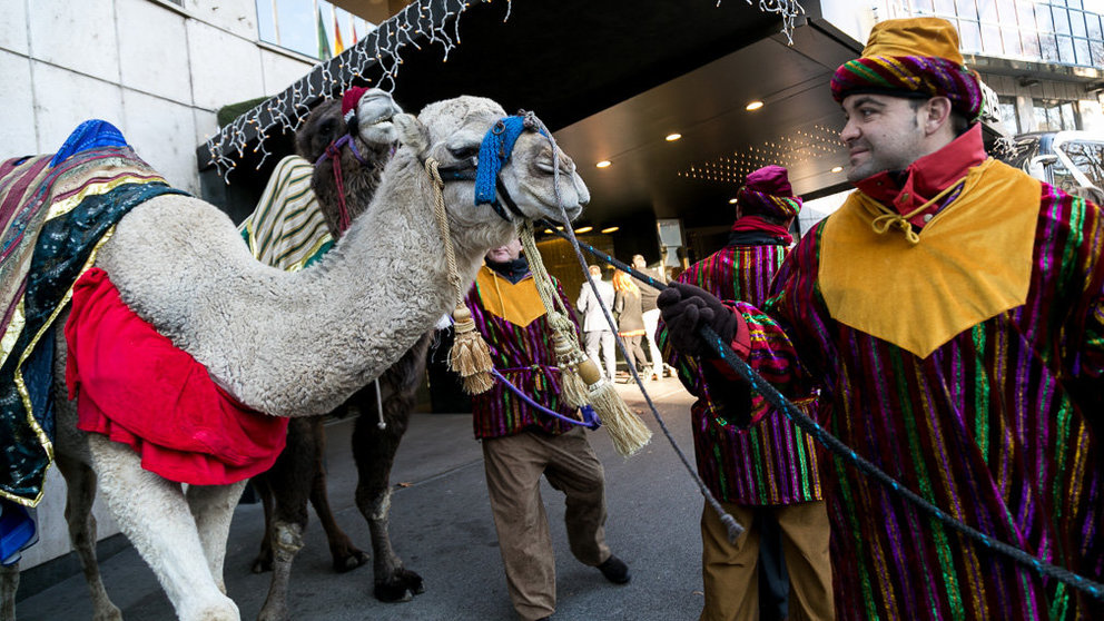 La Asociación Cabalgata Reyes Magos de Pamplona presenta la edición de este año con la presencia de los camellos de sus majestades  (13). IÑIGO ALZUGARAY