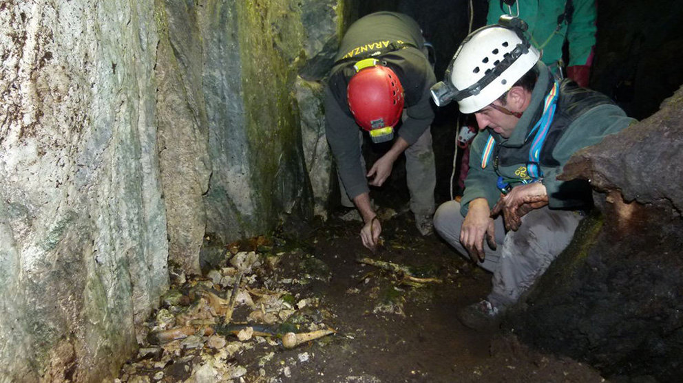 Miembros de la Sociedad Aranzadi examinan los restos hallados en el interior de la sima de Ardaiz GOBIERNO DE NAVARRA
