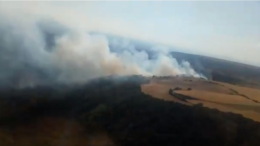 Incendio descontrolado de un pinar en la Bardena Negar BOMBEROS DE NAVARRA
