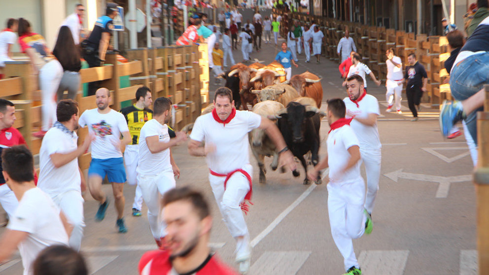 Los mozos corren delante de los toros en el quinto encierro de fiestas de Tudela. IKER SESMA PLAZA NUEVA