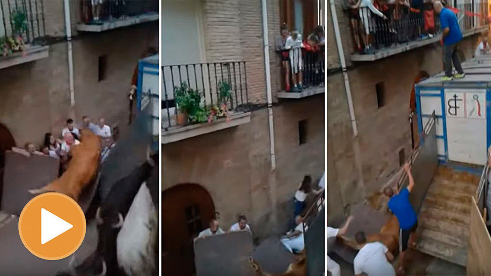 Una vaca rompe el vallado en Puente la Reina y provoca instantes de pánico. YOUTUBE