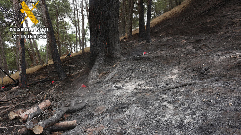 Investigación sobre el terreno de campo de uno de los incendios ocurridos en la zona de Tierra Estella durante el pasado año 2018 La Guardia Civil ha detenido al presunto culpable de provocar las llamas GUARDIA CIVIL